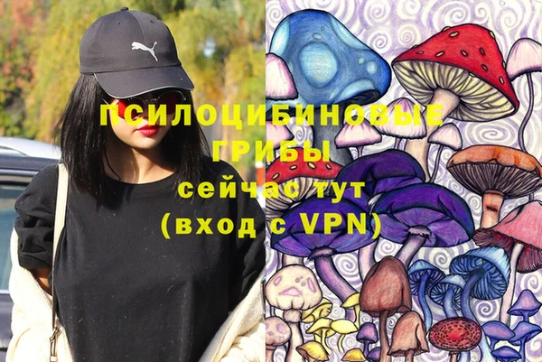 прущая мука Ельня