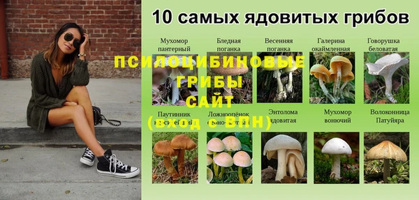 гашик Елабуга