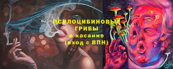 соль ск Елизово