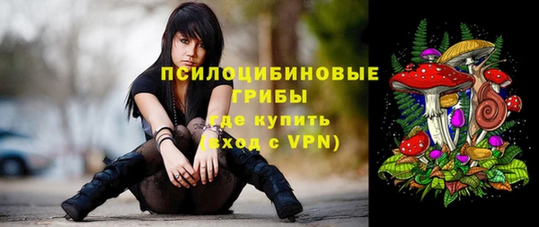 гашик Елабуга