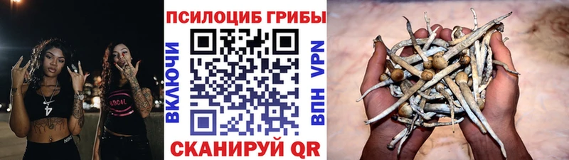 купить наркотики цена  Октябрьский  Галлюциногенные грибы GOLDEN TEACHER 